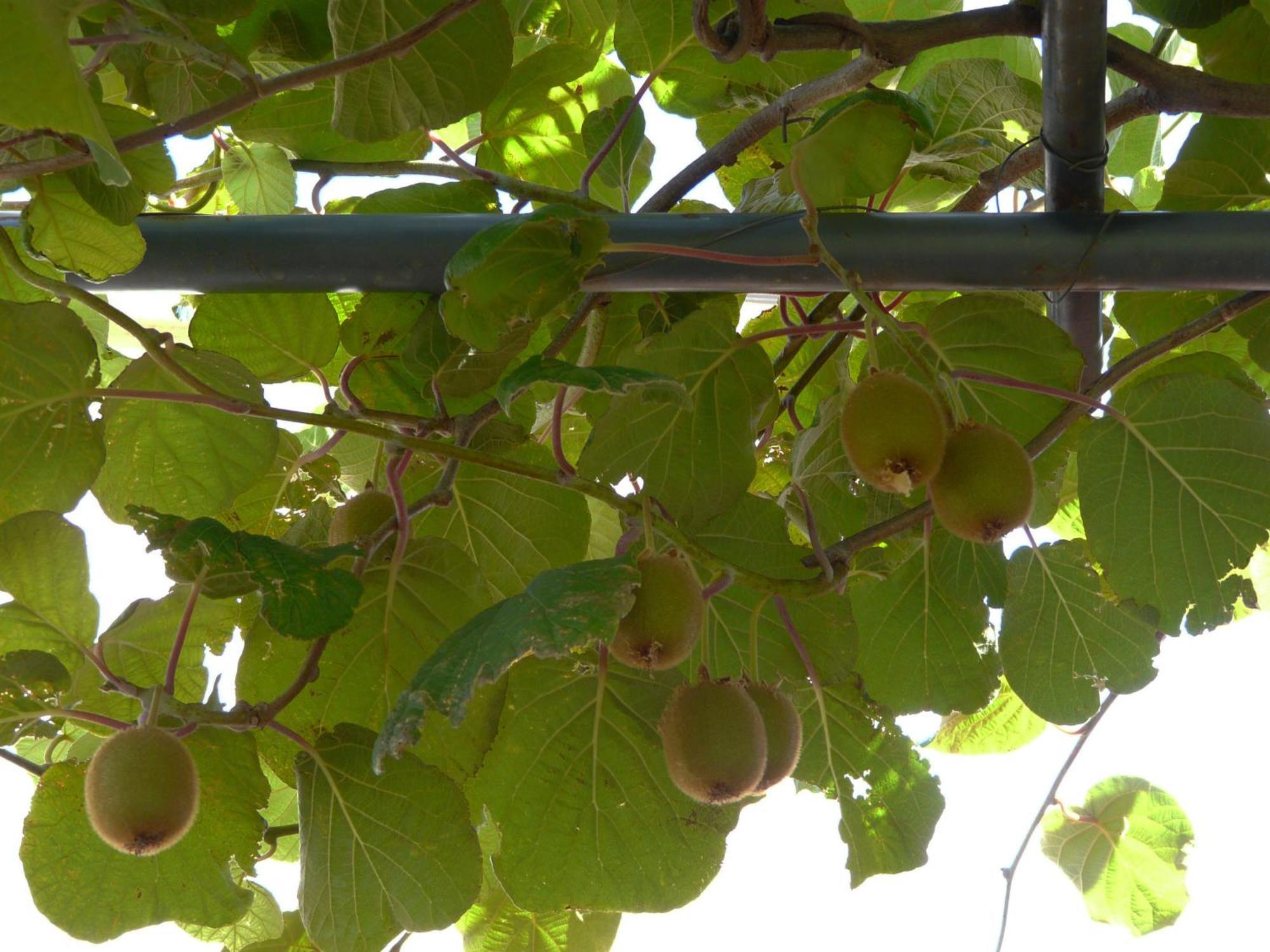 Apartamentos Rurales El Prado Pinofranqueado Dış mekan fotoğraf