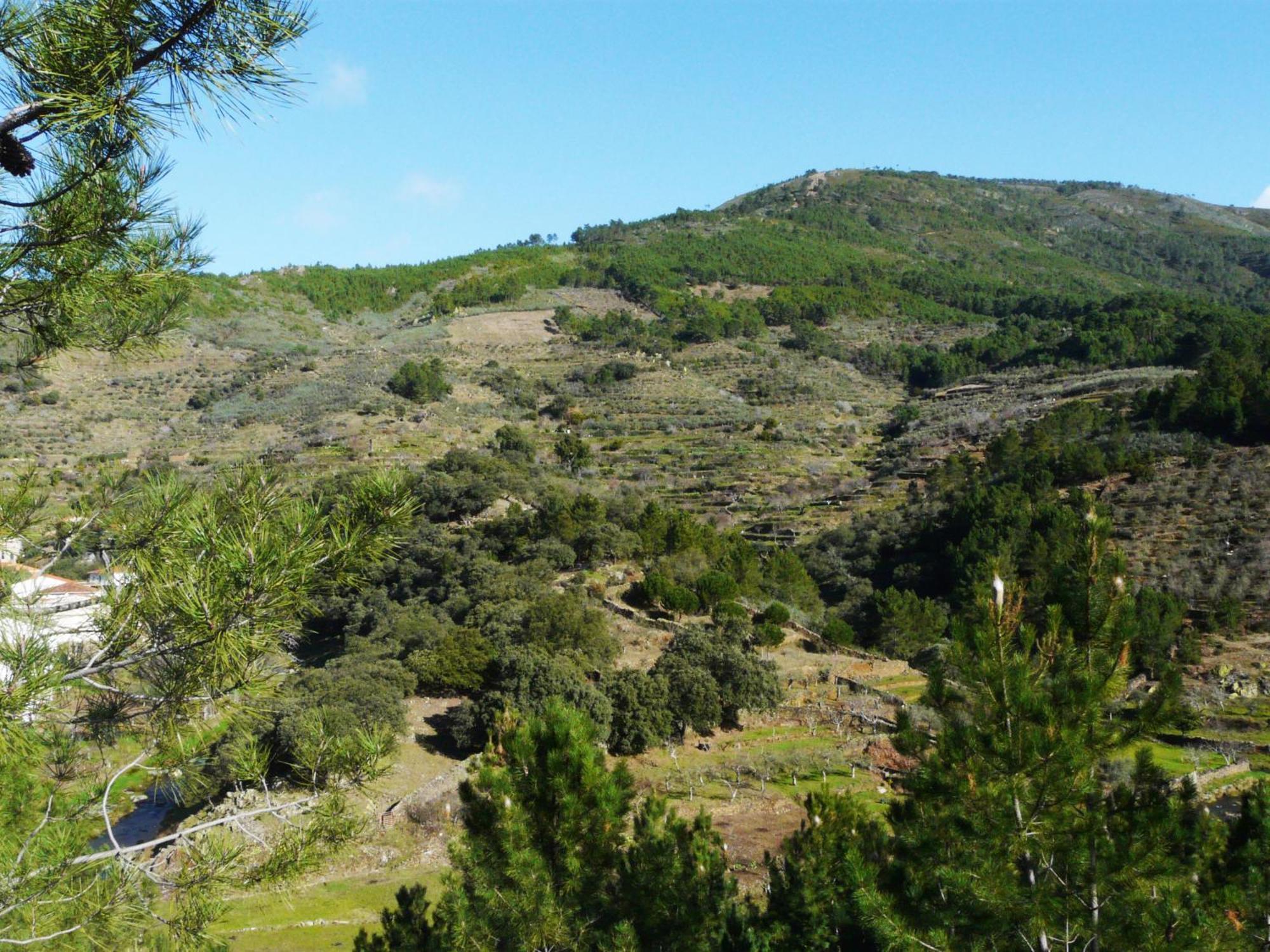 Apartamentos Rurales El Prado Pinofranqueado Dış mekan fotoğraf
